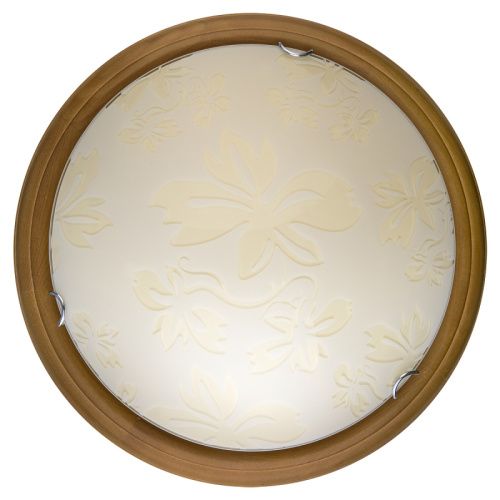 Светильник накладной Toplight Jane (Джане) TL9640Y-00OA