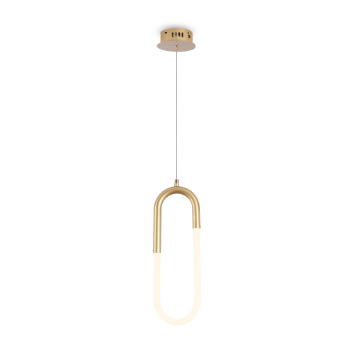 Светильник подвесной Freya Magnet (Магнит) FR6106PL-L13G