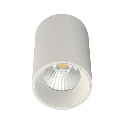 Светильник потолочный Escada 20003 20003SMU/01LED SWH