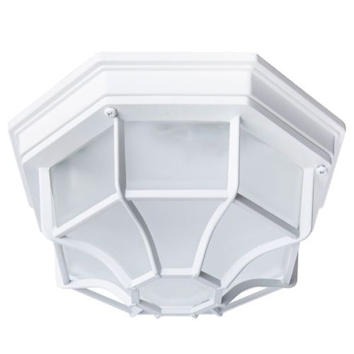 Уличный потолочный светильник Arte Lamp Pegasus (Пегасус) A3100PL-1WH