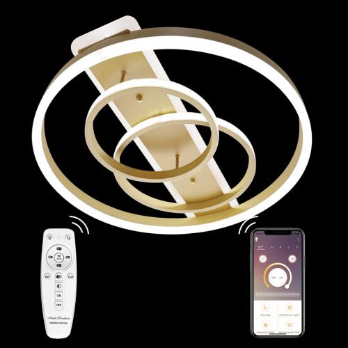 Люстра потолочная Natali Kovaltseva LED LAMPS (ЛЕД ЛАМПС) LED LAMPS 81302