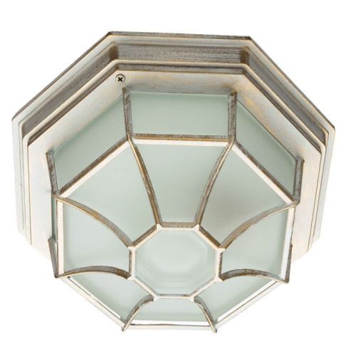 Уличный потолочный светильник Arte Lamp Pegasus (Пегасус) A3121PF-1WG