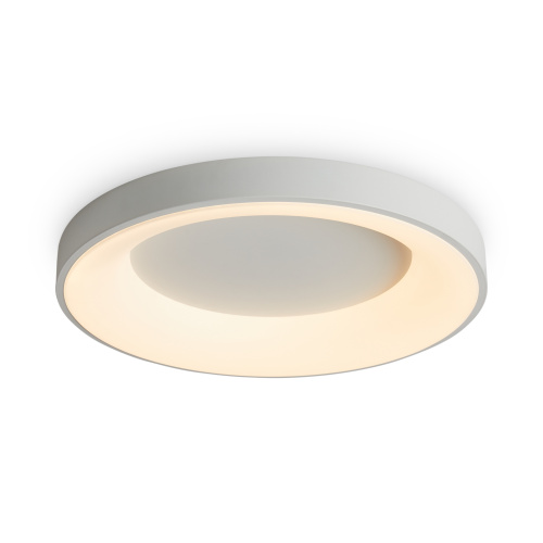 Светильник потолочный Freya Fit (Соответствие) FR6157CL-L65W