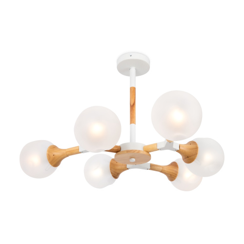 Светильник потолочный Freya Amy (Эми) FR5105CL-06W