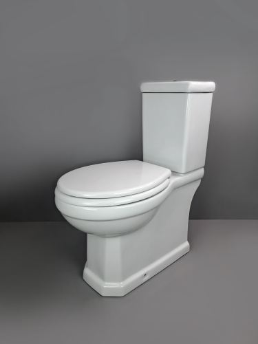 Чаша унитаза напольный Creo Сeramique TOULOR TL1002 цвет белый без сиденья и бачка