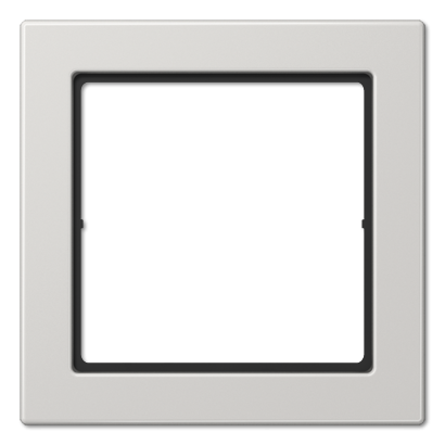 Рамка одноместная Jung Serie LS (Серие ЛС) FD981LG