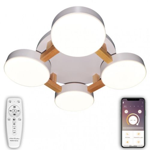 Светильник потолочный Natali Kovaltseva LED (ЛЕД) LED LAMPS 81325