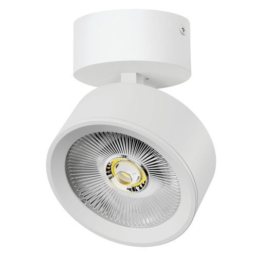 Светильник накладной Lightstar Alta Pro (Алта Про) A5636SO