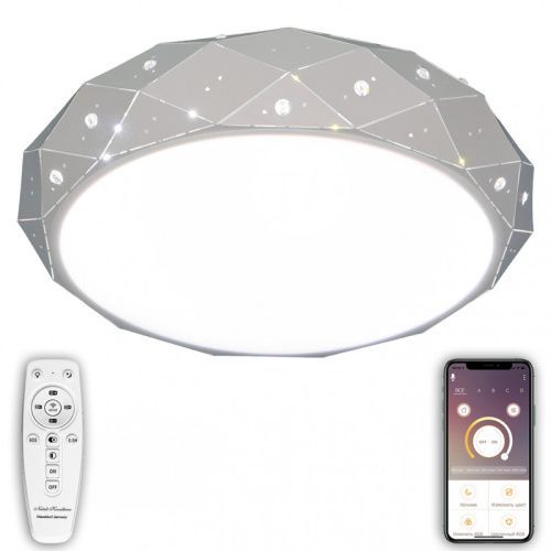 Светильник потолочный Natali Kovaltseva LED (ЛЕД) LED LAMPS 81205