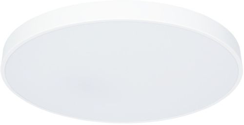 Светильник накладной Arte Lamp Arena (Арена) A2671PL-1WH