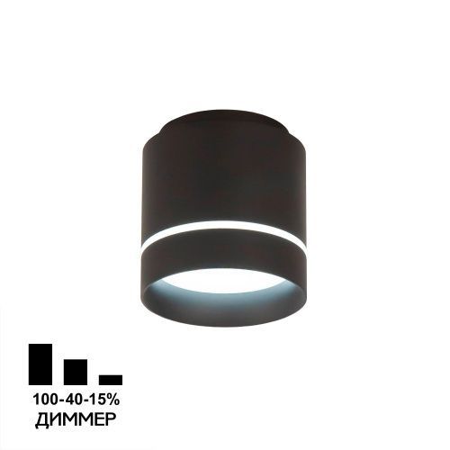 Светильник накладной Citilux Борн CL745021N