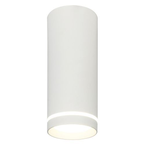 Светильник потолочный Escada 20009 20009SMU/02LED SWH