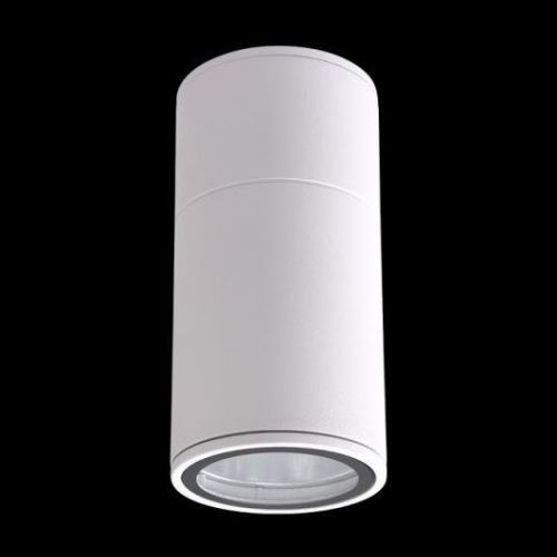 Уличный потолочный светильник Crystal Lux CLT 138 CLT 138C180 WH