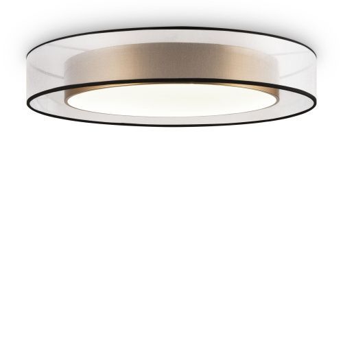 Светильник потолочный Freya Zoticus FR6005CL-L48G