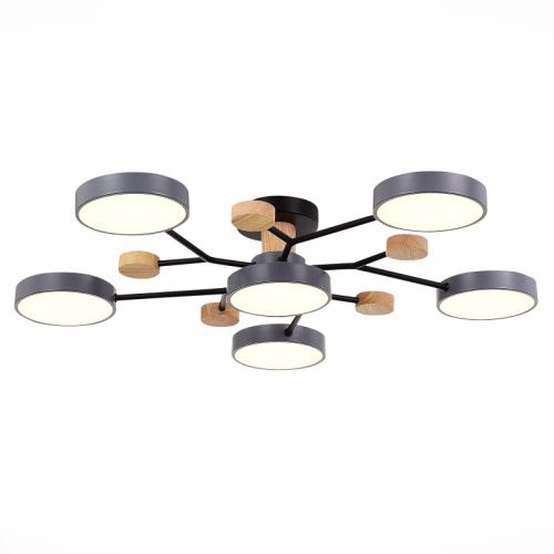 Люстра на штанге Evoluce Faema (Фаема) SLE6006-702-06