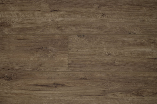 SPC ламинат Damy Floor FAMILY 248-8 Дуб Имбирный