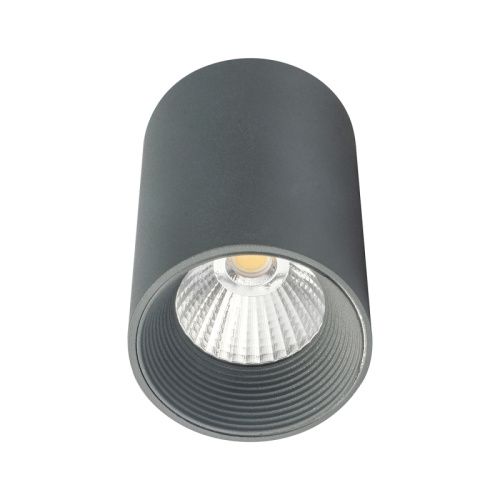 Светильник потолочный Escada 20003 20003SMU/01LED SGY