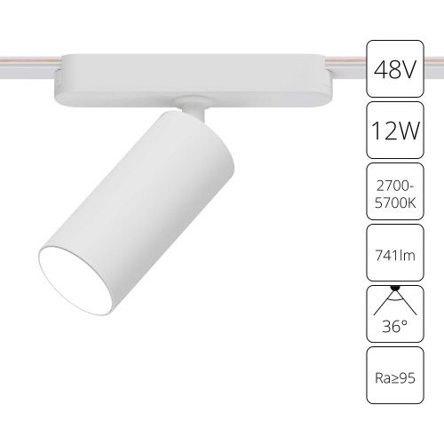 Трековый магнитный светильник Arte Lamp Rapid (Рапид) A2958PL-1WH