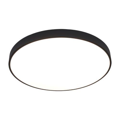 Светильник накладной Arte Lamp Arena (Арена) A2673PL-1BK