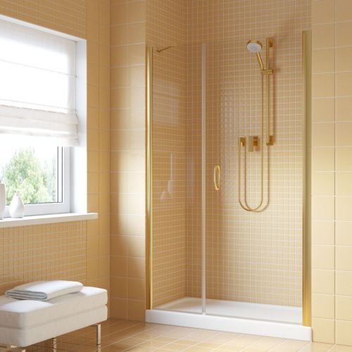 Душевая дверь Vegas-Glass EP-F-2 LUX EP-F-2 LUX 100 09 01 R 100х200 стекло прозрачное профиль золото