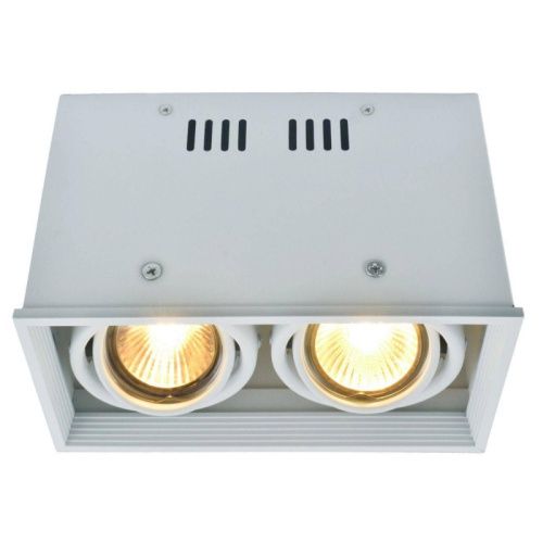 Светильник накладной Arte Lamp Cardani (Цардани) A5942PL-2WH