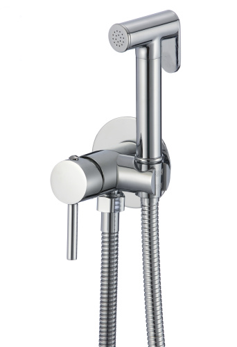 Смеситель с гигиеническим душем D-Lin D183202 настенный хром