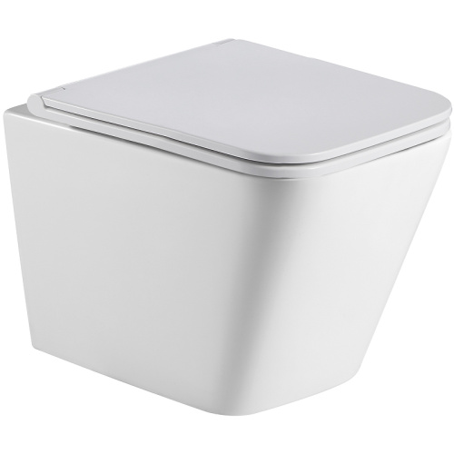 Унитаз подвесной WeltWasser 10000003696 белый матовый с сиденьем безободковый душевой смыв