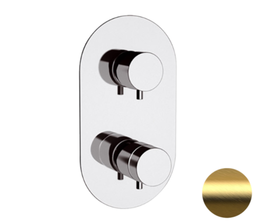 Смеситель для душа Remer Elegance NT93BG встраиваемый в стену золото с термостатом