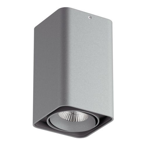 Светильник накладной Lightstar Monocco (Моноццо) 52139
