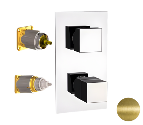 Смеситель для душа Remer Q-Elegance QT92KBVO встраиваемый в стену латунь брашированная