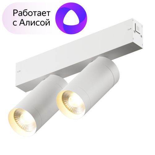 Трековый светильник Denkirs Smart Spot (Смарт Спот) DK8012-WH