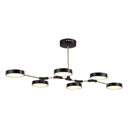 Светильник потолочный Evoluce Monta (Монта) SLE6004-402-06