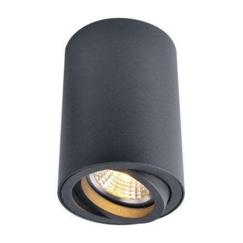 Светильник потолочный Arte Lamp Sentry (Сентры) A1560PL-1BK