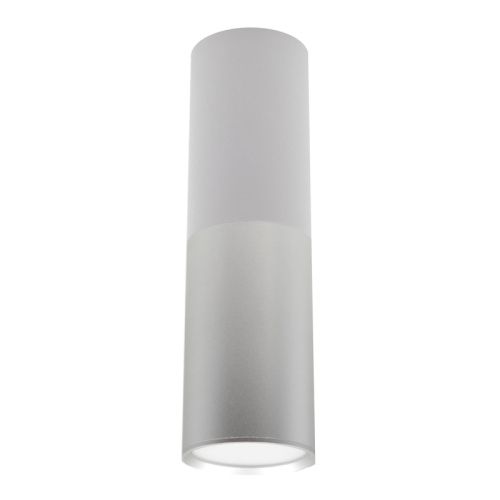 Светильник потолочный Escada 20007 20007SMU/02LED SWH/CH
