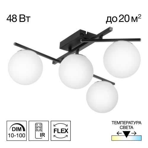 Светильник настенно-потолочный Citilux Dorsy (Дорсы) CL223142