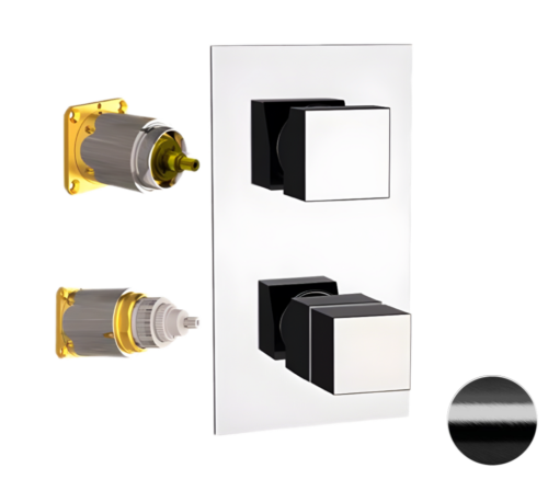 Смеситель для душа Remer Q-Elegance QT92KBCFP встраиваемый в стену черный брашированный хром