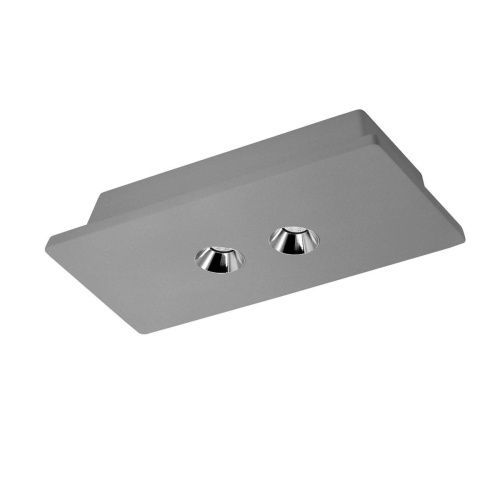 Светильник накладной Loft It Architect OL1072-GH/2