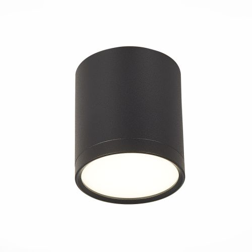 Светильник потолочный ST Luce Rene (Рене) ST113.442.05