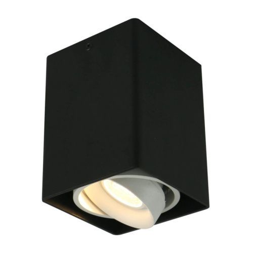 Светильник потолочный Arte Lamp Pictor (Пицтор) A5655PL-1BK