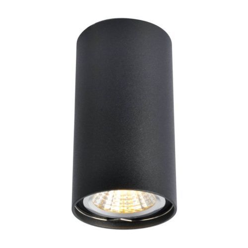 Светильник потолочный Arte Lamp Unix (Уникс) A1516PL-1BK