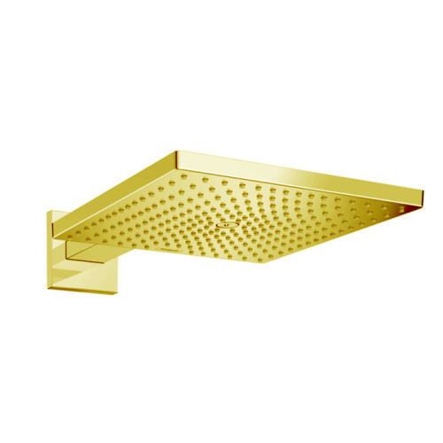 Верхний душ Hansgrohe Raindance 26238990 золото