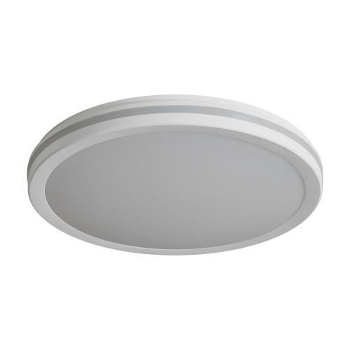 Светильник потолочный Freya Rua (Руа) FR6160CL-L40W