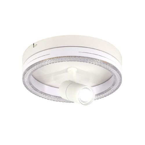 Светильник потолочный Escada 20044led 20044SMA/02LED WH