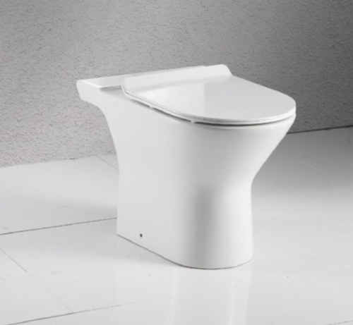 Чаша унитаза напольная Bravat Cena CX21206UW-P-RUS цвет белый с сиденьем микролифт без бачка безободковая душевой смыв