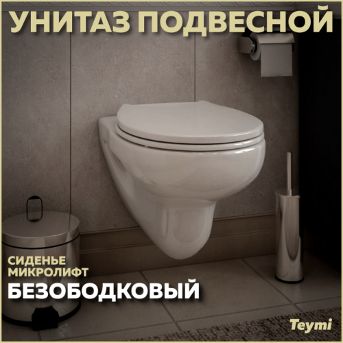 Унитаз Teymi Hanna Pro T40901 подвесной