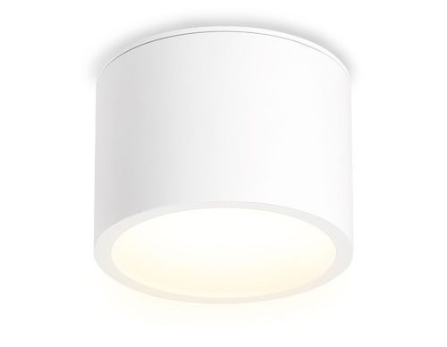 Светильник накладной Ambrella Light IP Protect (ИП Протецт) TN6550