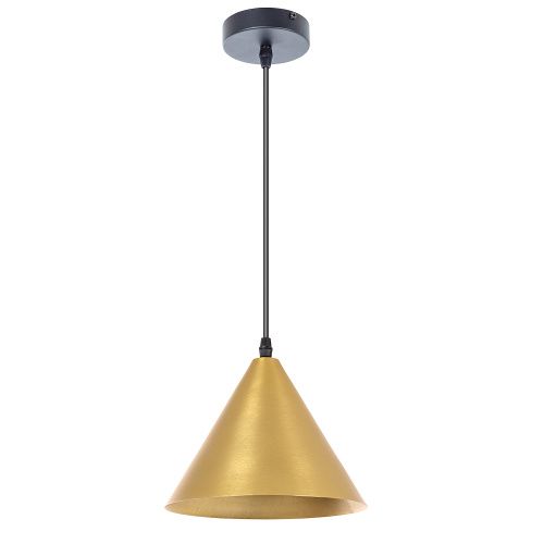 Светильник подвесной Arte Lamp David (Давид) A7033SP-1BK