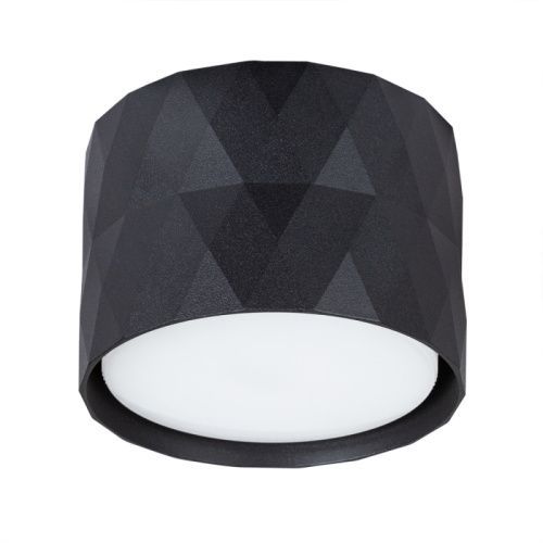 Светильник накладной Arte Lamp Fang (Фанг) A5552PL-1BK