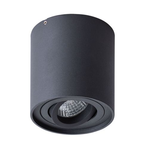 Светильник потолочный Arte Lamp Falcon (Фалцон) A5645PL-1BK
