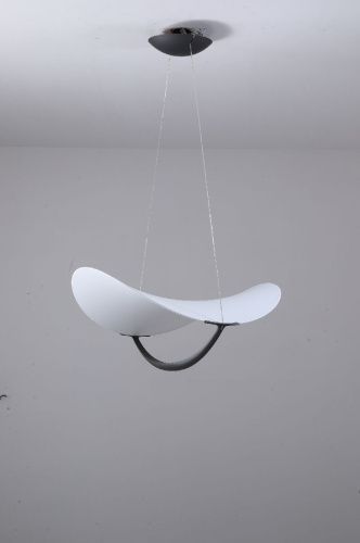 Светильник подвесной Zortes Quincy (Куинцы) ZRS.1585.13